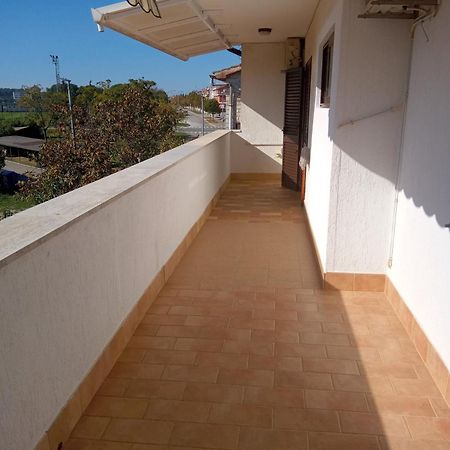 Apartment Degobbis Rovinj Dış mekan fotoğraf